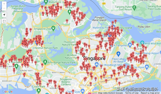 新加坡不同年龄阶段留学路线最全规划，优缺点大分析——幼儿园篇